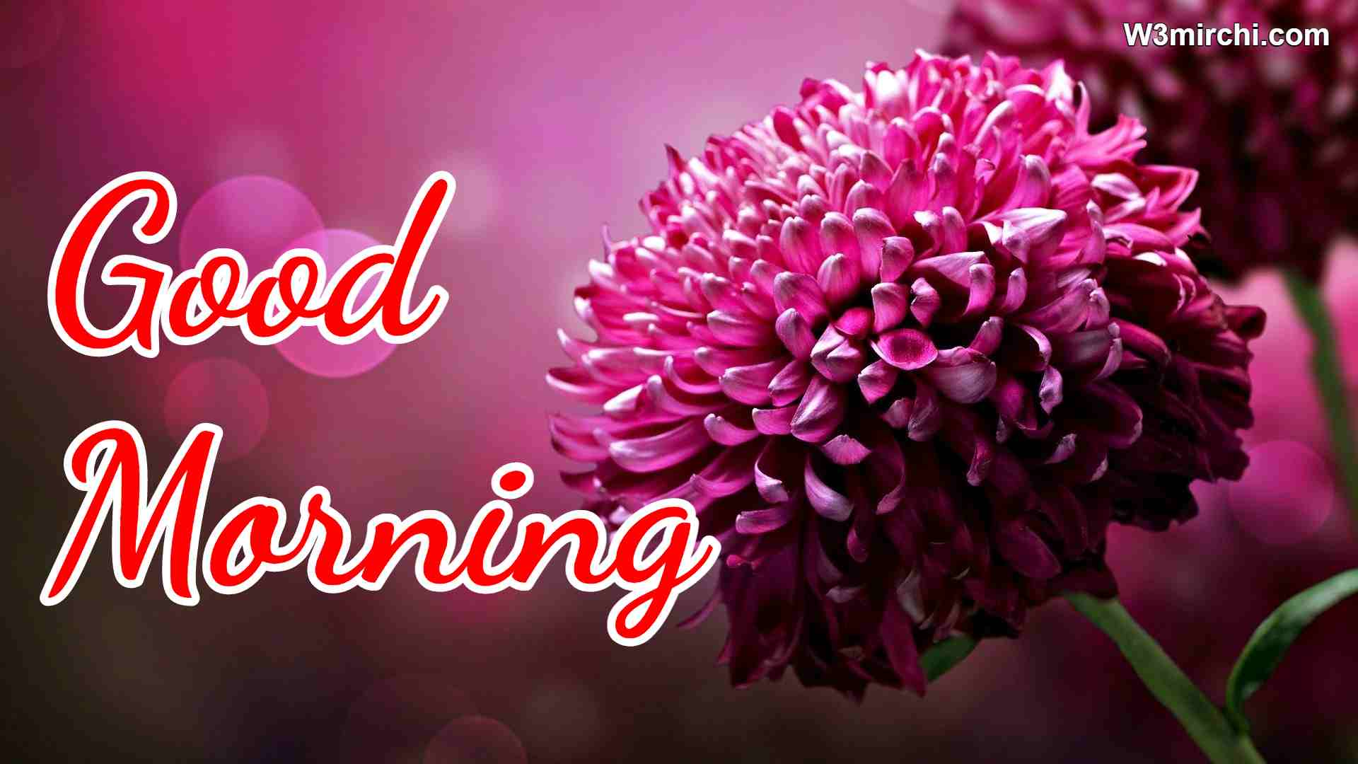 Latest Good Morning Images Hd