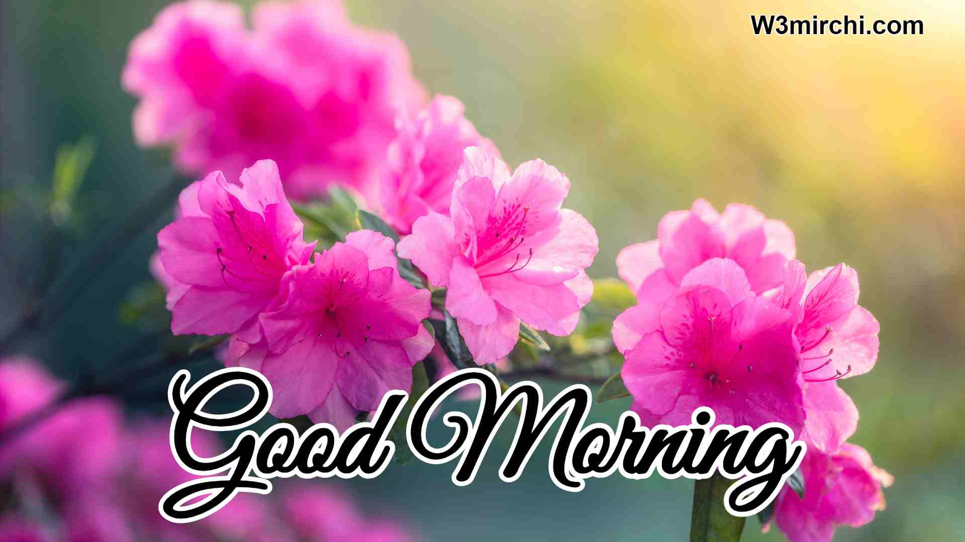 Latest Good Morning Images Hd