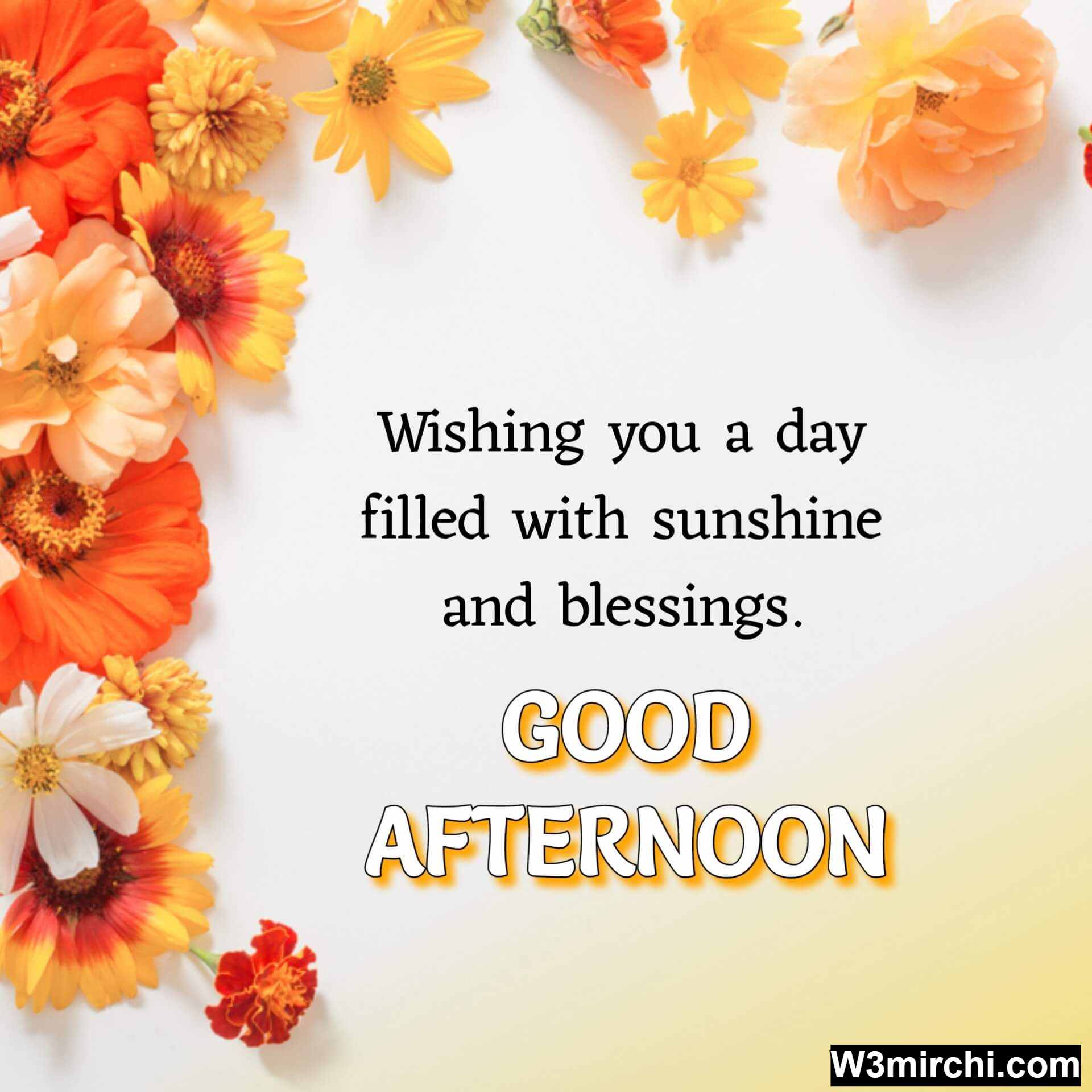 Good Afternoon Quotes Messages To Wish Good Afternoon | Hot Sex Picture