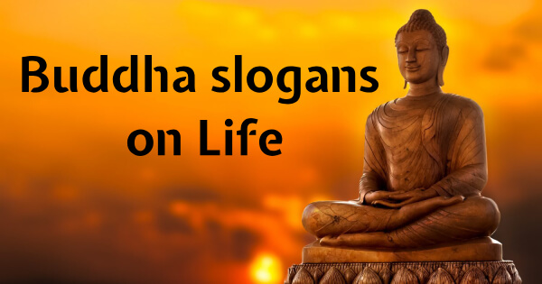 Buddha Slogans on Life