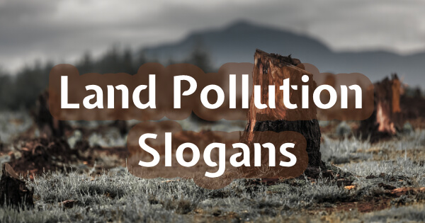 Land Pollution Slogan