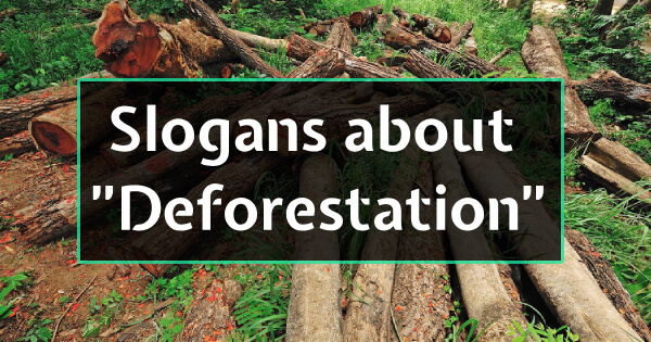 Slogans about Deforestation