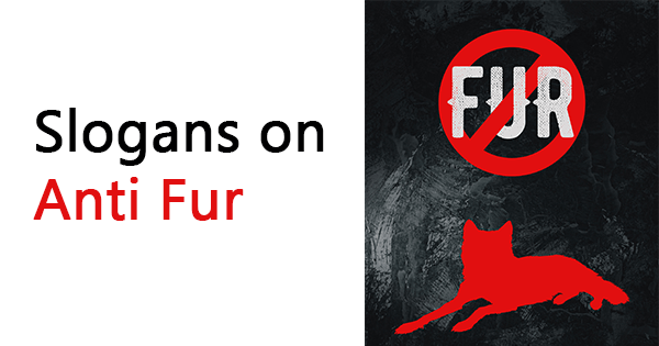 Slogans on anti fur
