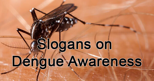 Slogans on dengue awareness | डेंगू पर नारे