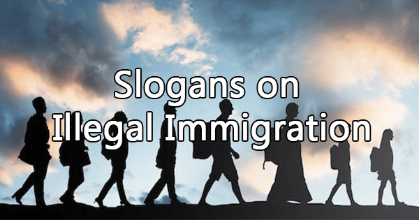 Slogans on illegal immigration