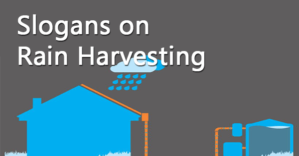 Slogans on rain harvesting