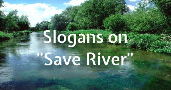 Slogans on Save River